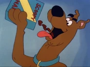 Scooby Snax Treat (The New Scooby and Scrappy Doo Show episode "Where's Scooby-Doo?")