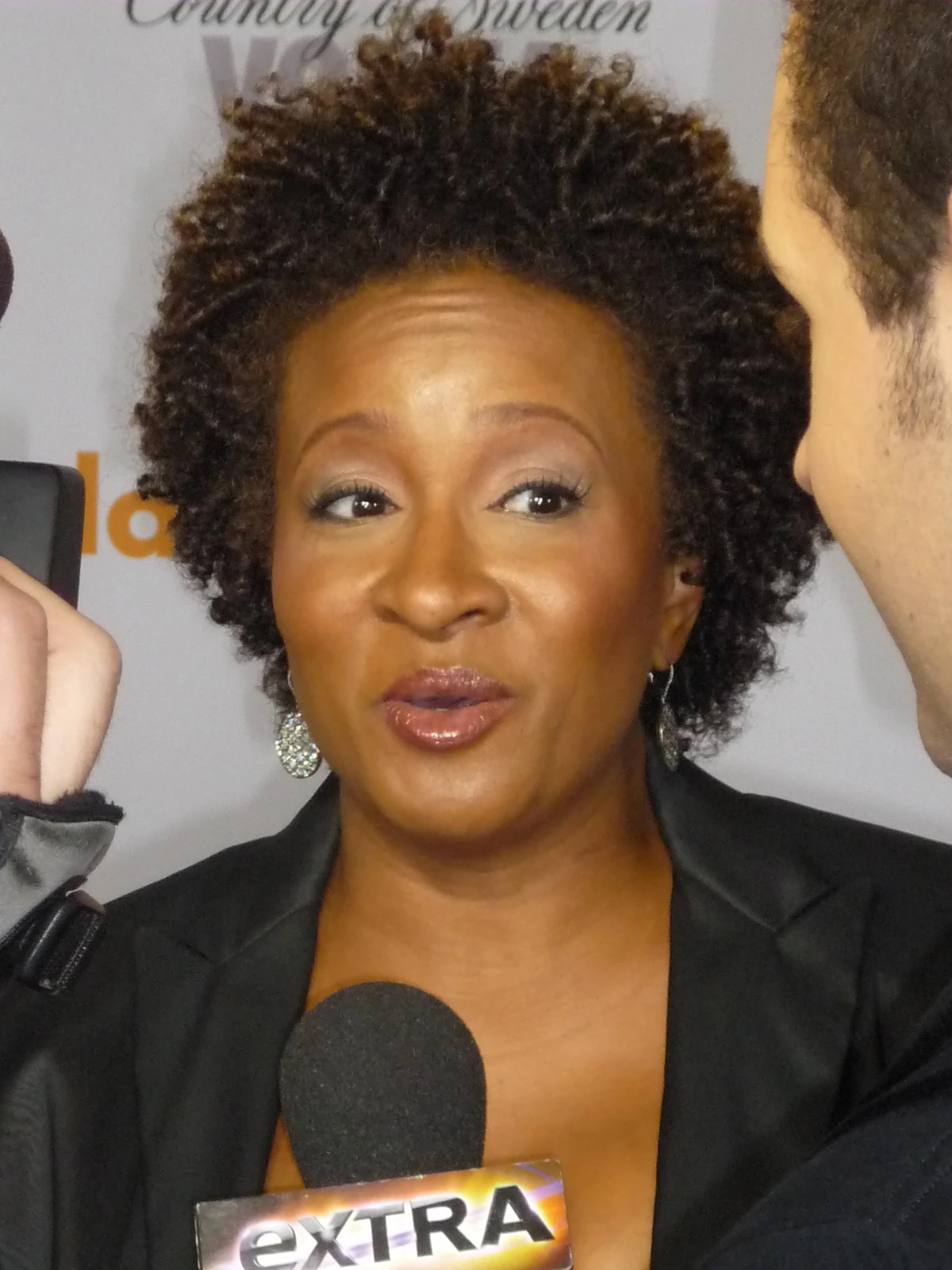 Wanda Sykes (actress) Scoobypedia Fandom