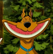 Materialy-0-image-scooby6jpg-GALLERY 600-13812