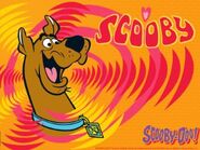 Scooby