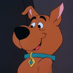 Category:Dogs | Scoobypedia | Fandom Category:Dogs | Scoobypedia | Fandom