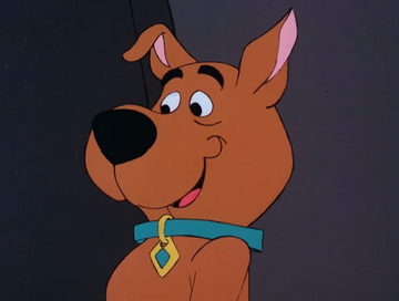 Scrappy doo dog collar deals