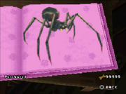 SDFF Spider