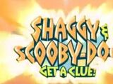 Shaggy & Scooby-Doo Get a Clue! (theme song)