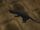 Rat (Scooby-Doo! Who's Watching Who?)