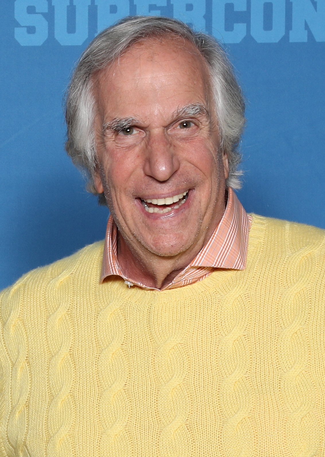 Henry Winkler Scoobypedia Fandom