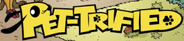 Title card