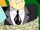 Unnamed man (What's New, Scooby-Doo?)