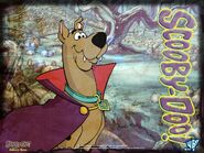 Scooby 9