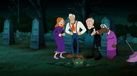 Elder Mystery Inc.