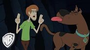 Be Cool, Scooby-Doo! Dog Owner