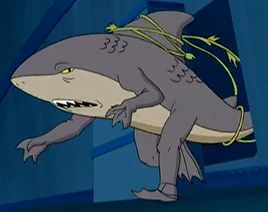 Shark mon