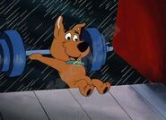 Scrappy Doo