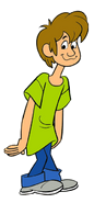 Shaggy Rogers from A Pup Named Scooby Doo