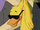 Duck Guy