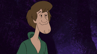 Shaggy Rogers