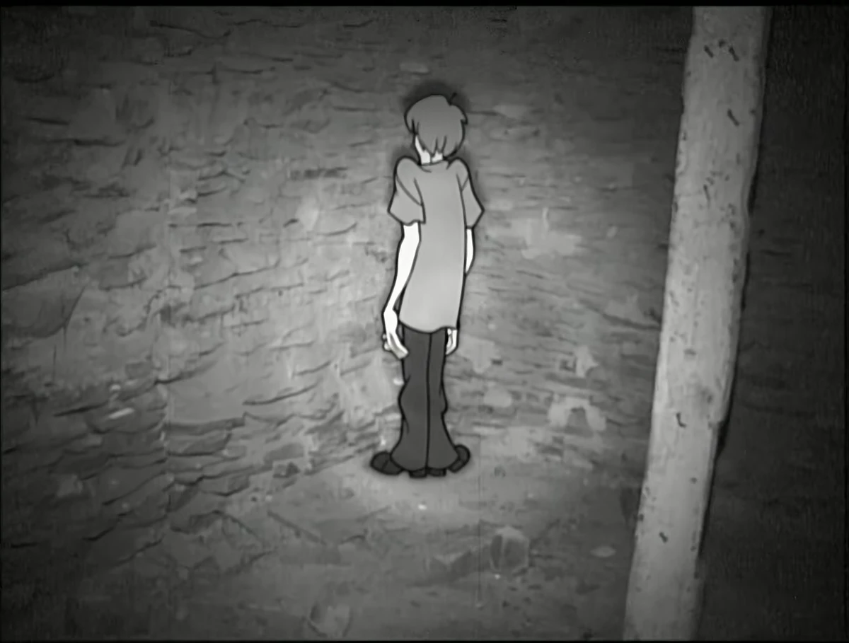 The ScoobyDoo Project ScoobyDoo Wiki Fandom