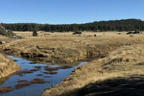 Laguna2501