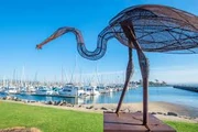 Baysidebird