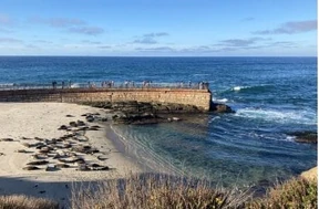 LJSealBeach