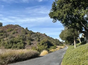  Trail view looking north