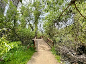 Nature Trail - Guajome Regional Park