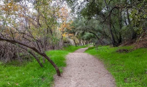 Santa Margarita River Trail -WildlandsConservancy.org