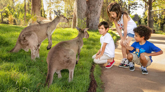 Zookids1