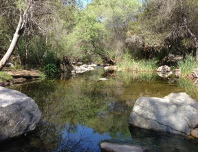  Creek crossing on the Elfin Botanical Trail