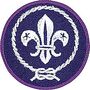 World crest 2016.jpg