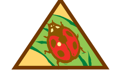 Does Tent Camping Count for Brownie Cabin Camper Badge? Find Out!