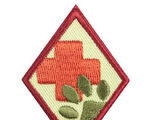 Animal Helpers (Cadette badge)