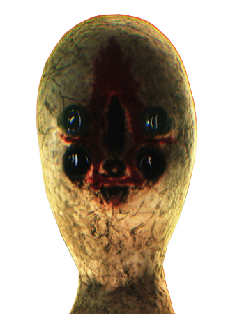 Scp 173 Scp Containment Breach Unity Edition Wiki Fandom Scp 173 Scp Containment Breach Unity Edition Wiki Fandom