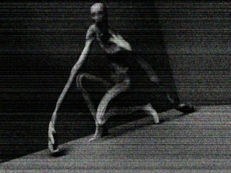 SCP - 096, Wiki