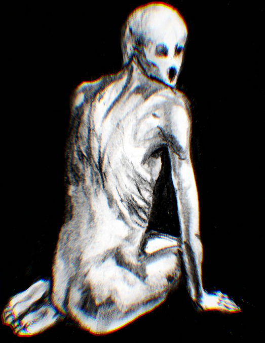 SCP-000, SCP Database Wiki