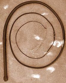 240px-Bullwhip.jpg