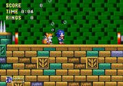 Sonicpic4.png