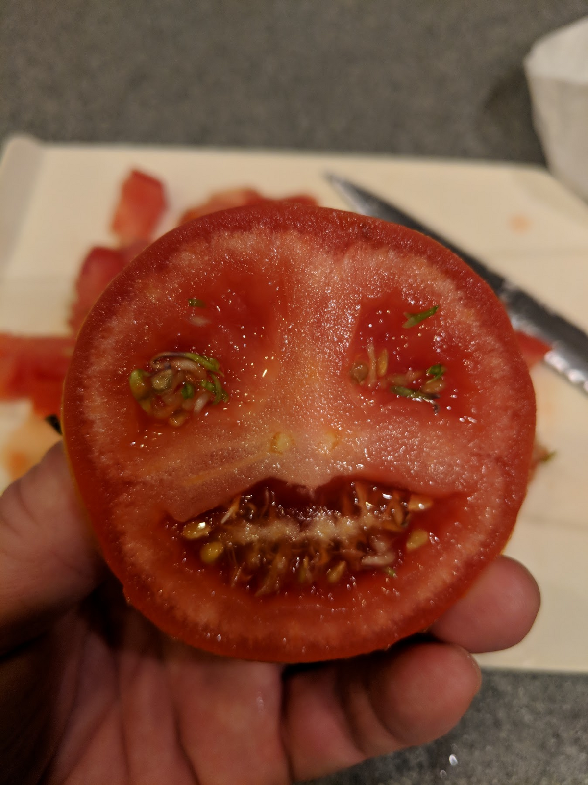 Во рту тухлый яиц. Странный помидор. Злой помидор. Бешеный помидор.