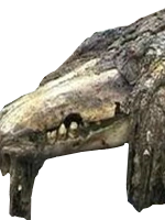 SCP-682 | SCP Foundation Branch Wiki | Fandom