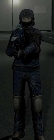 Epsilon-11 Standard Rifle (Fusion Version) | SCP: Secret Laboratory ...