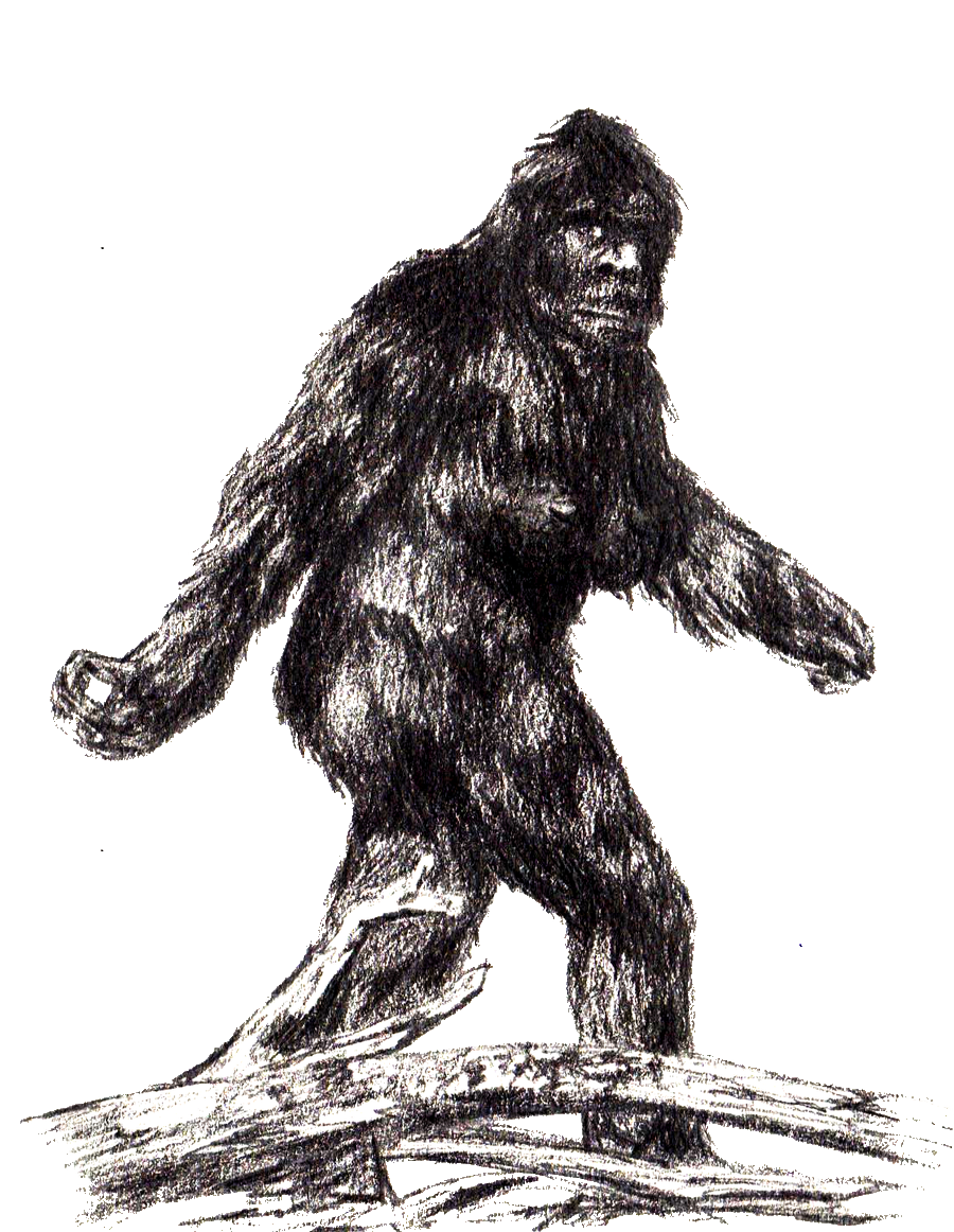 SCP-1000 - Bigfoot 🐵 : Object Class - Keter : Humanoid SCP