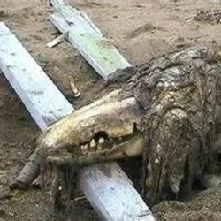 clase keter scp