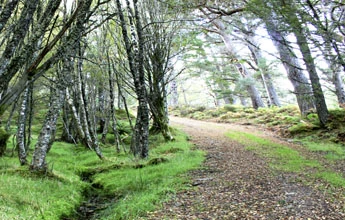 Propuesta del Dr. Mann | Wiki La Fundación SCP | Fandom