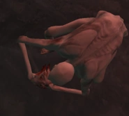 096eating.png (39 KB) SCP-096的进食动作。