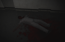 SCP-970中死亡的科学家。
