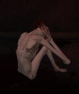 scp-096. a timida, Wiki