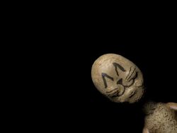 SCP-173-J [Cat] [SCP – Containment Breach] [Mods]
