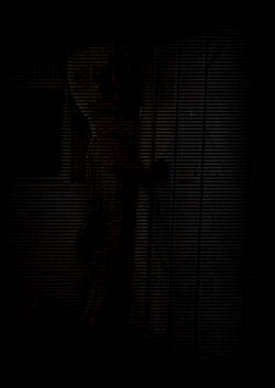 SCP-173 не моргай