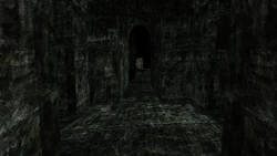 Scp-106 - старик измерение. Сцп 106 карманное измерение. Птица из карманного измерения scp 106. Scp карманное измерение. Карманное измерение scp 106.