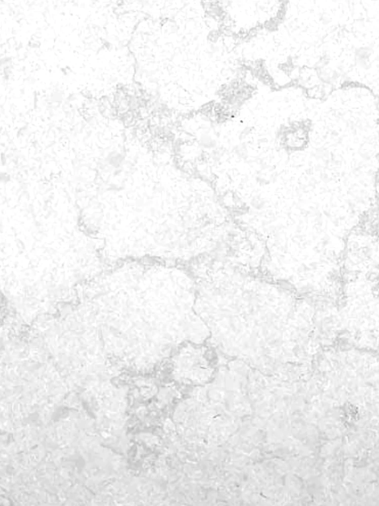 SCP基金会| SCP基金会中文Wiki | Fandom